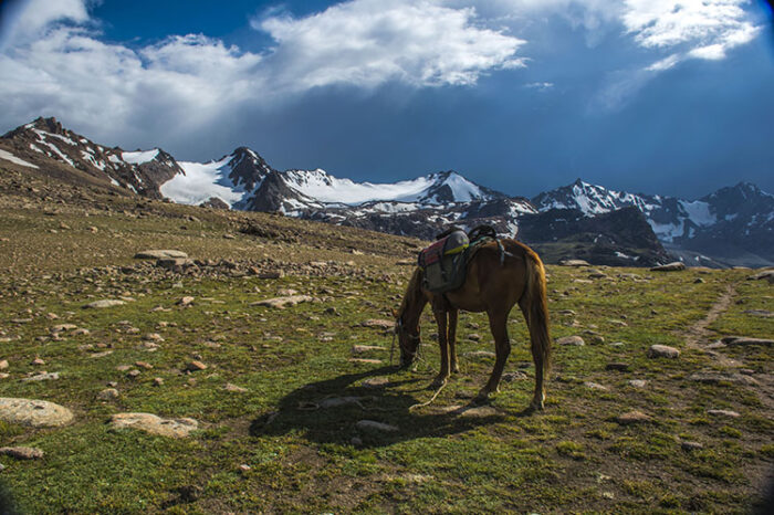 The best horse riding in the Tien-Shan mountain range