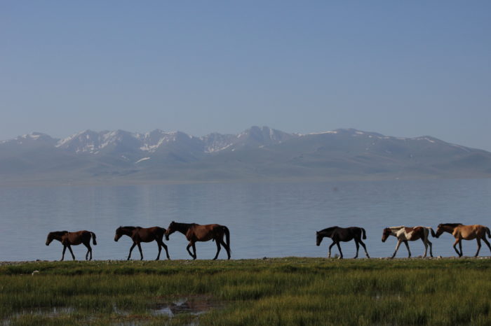 Trip to Song-Kul and Issyk-Kul Lakes